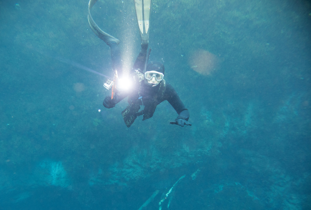 Diver with flashlight