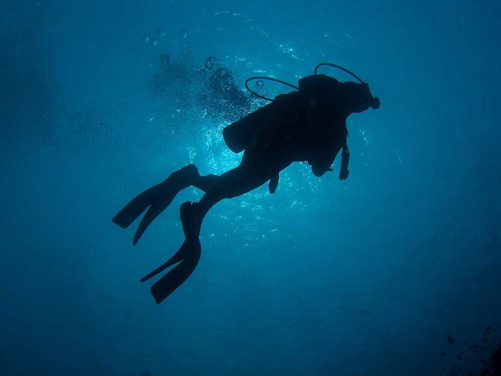 A scuba diver in silhouette. Taken near Apo Island in the Philippines.