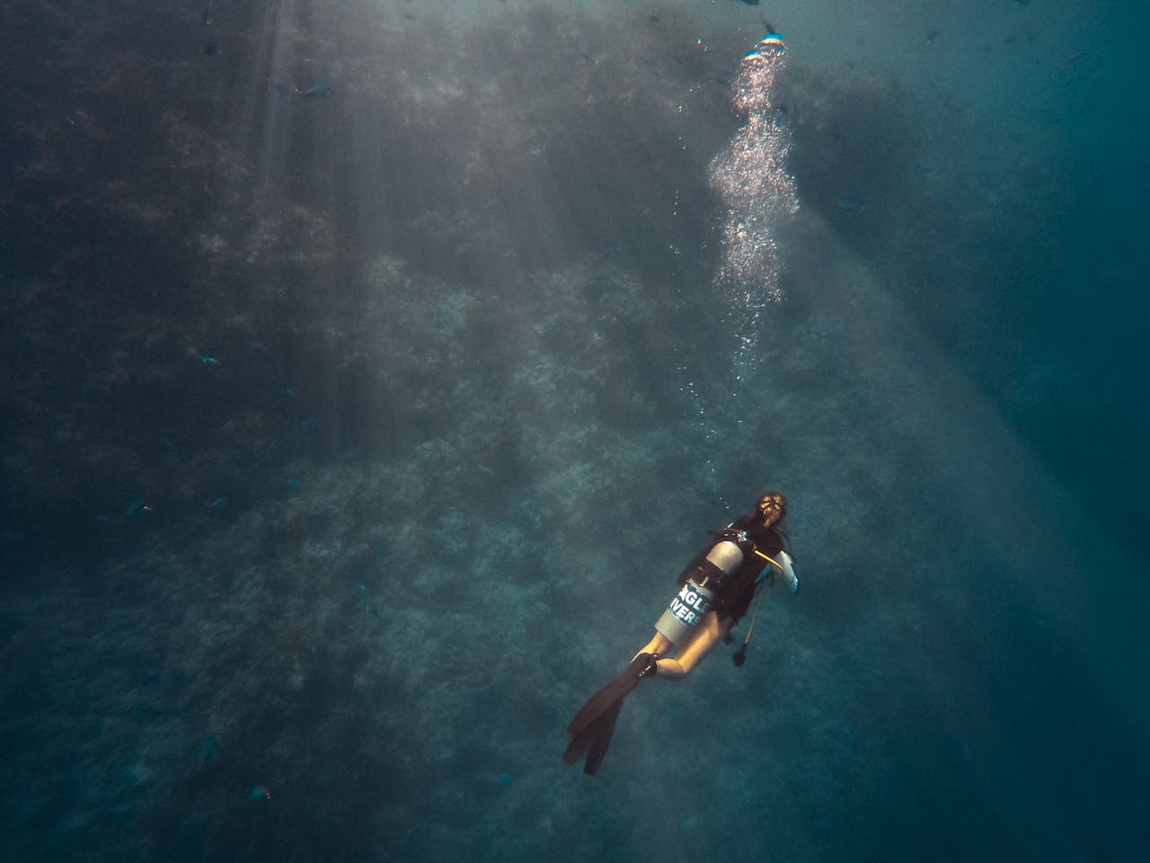 Photo of a Person Diving on Ocean.