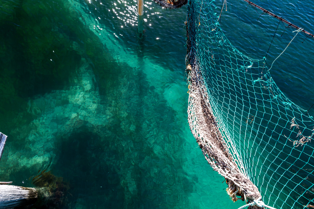 Shark nets flank the swimming area and pontoon at Point Sinclai