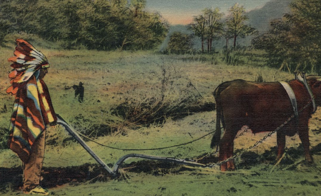 Cherokee Indian with Old-fashioned Ox-drawn Plow, Cherokee Indian Reservation, Cherokee,