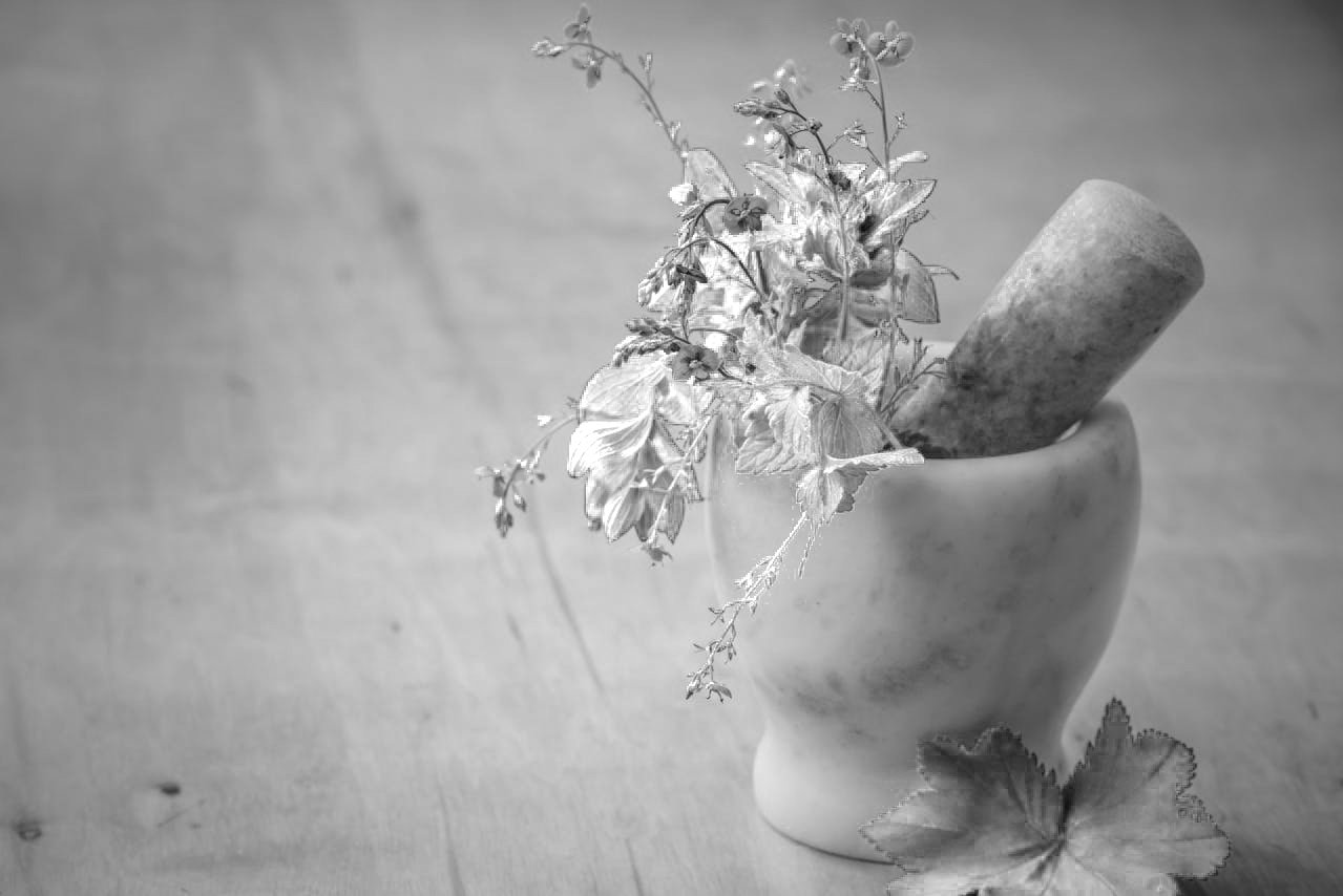 Close-up Photo of Purple Petaled Flowers in Mortar and Pestle.