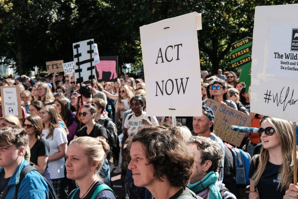 Protesters at the Climate Strike Rally