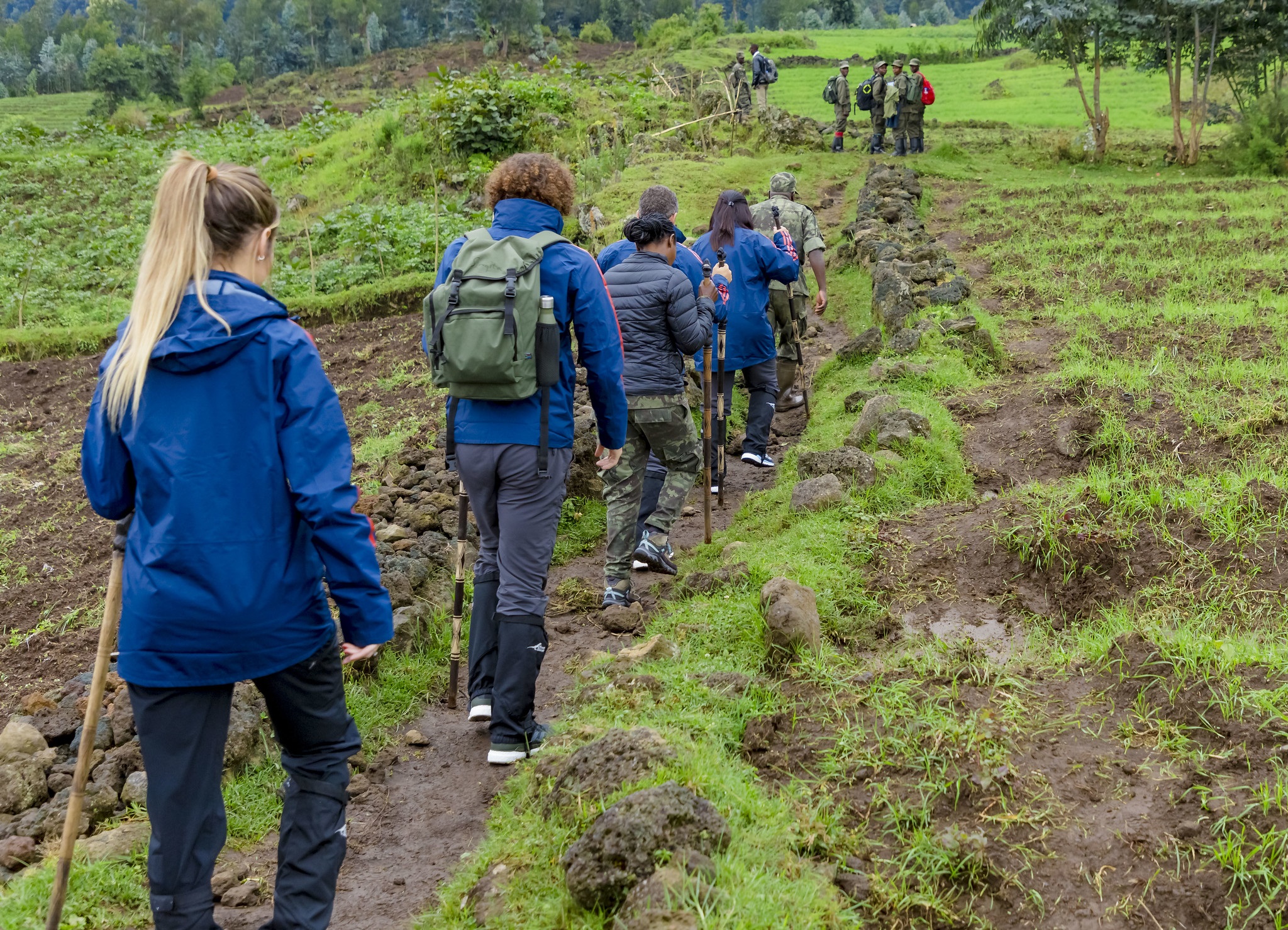Trekking in Volcanoes National Park
