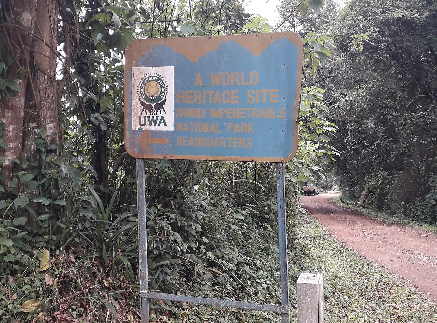 Bwindi Impenetrable National Park