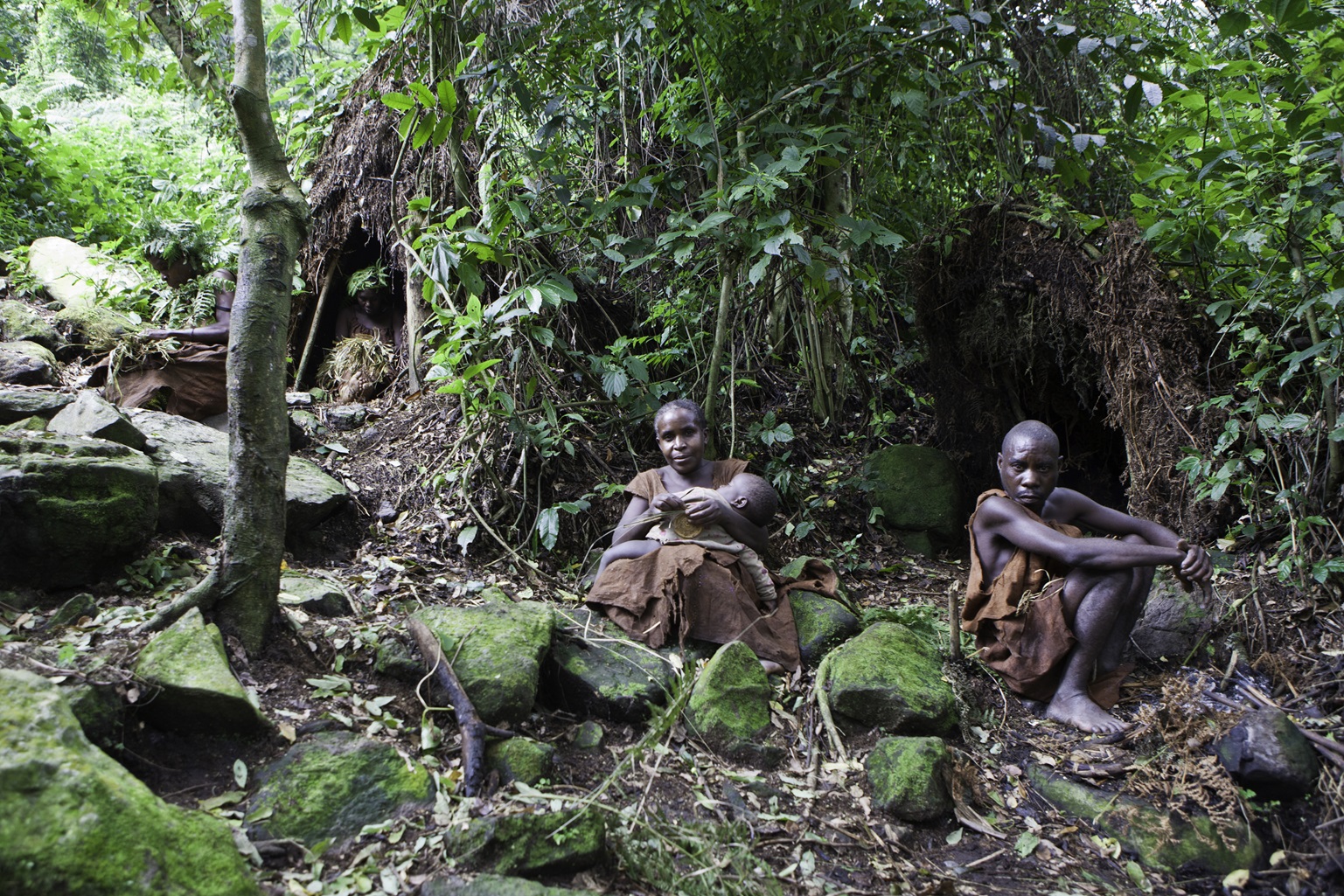 The traditional Batwa pygmies from the Bwindi Impenetrable Forest in Uganda