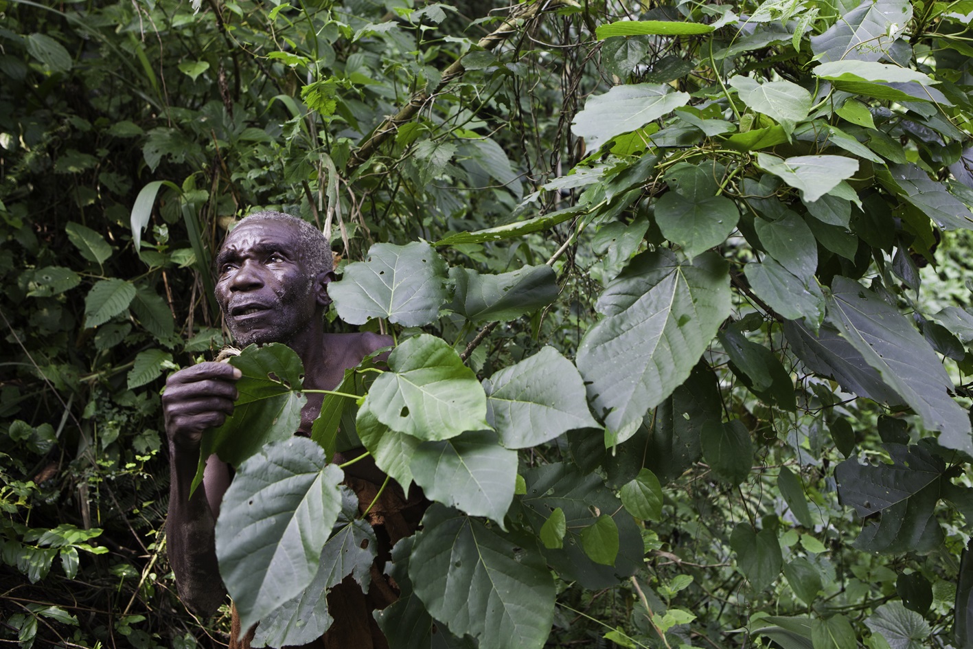 Batwa pygmies from the Bwindi Impenetrable Forest in Uganda