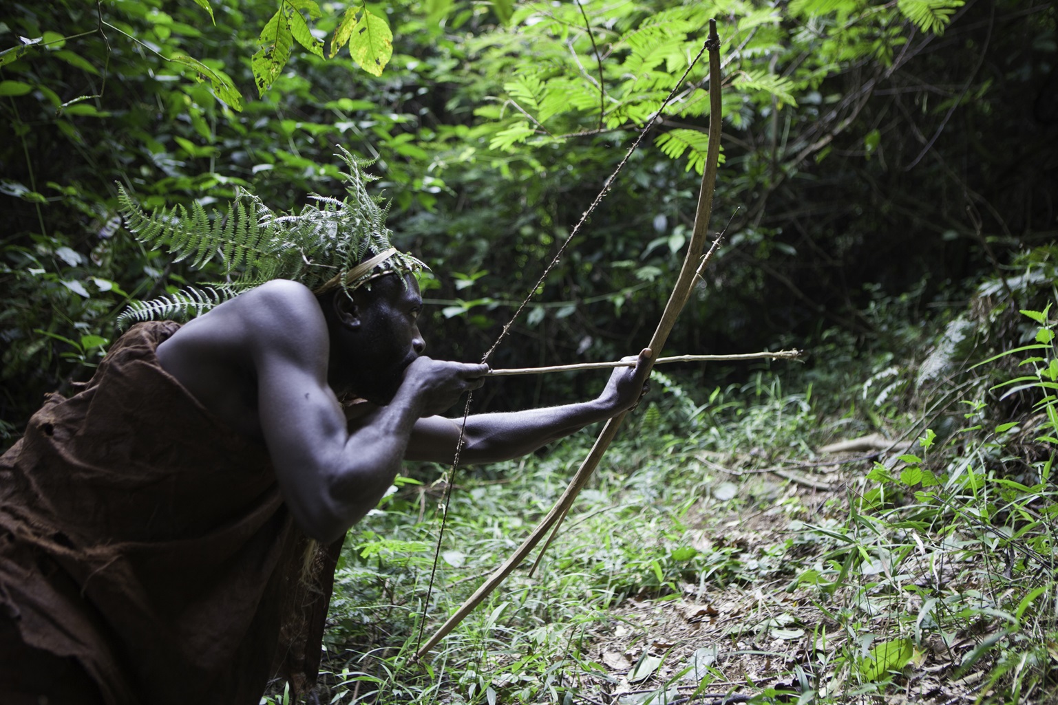 A male Batwa tribesman demonstrates hunting animals using a bow and arrow in Bwindi Impenetrable Forest