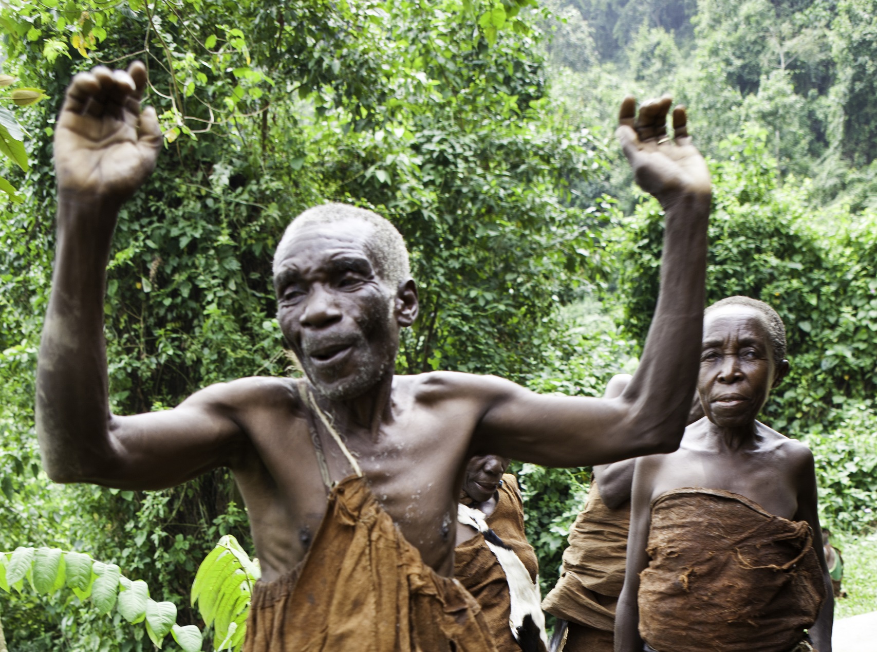 Batwa pygmies from the Bwindi Impenetrable Forest in Uganda dancing