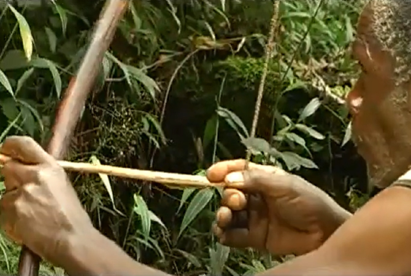Screenshot of Batwa tribe man hunting in forest - from The Batwa Legacy (2011)