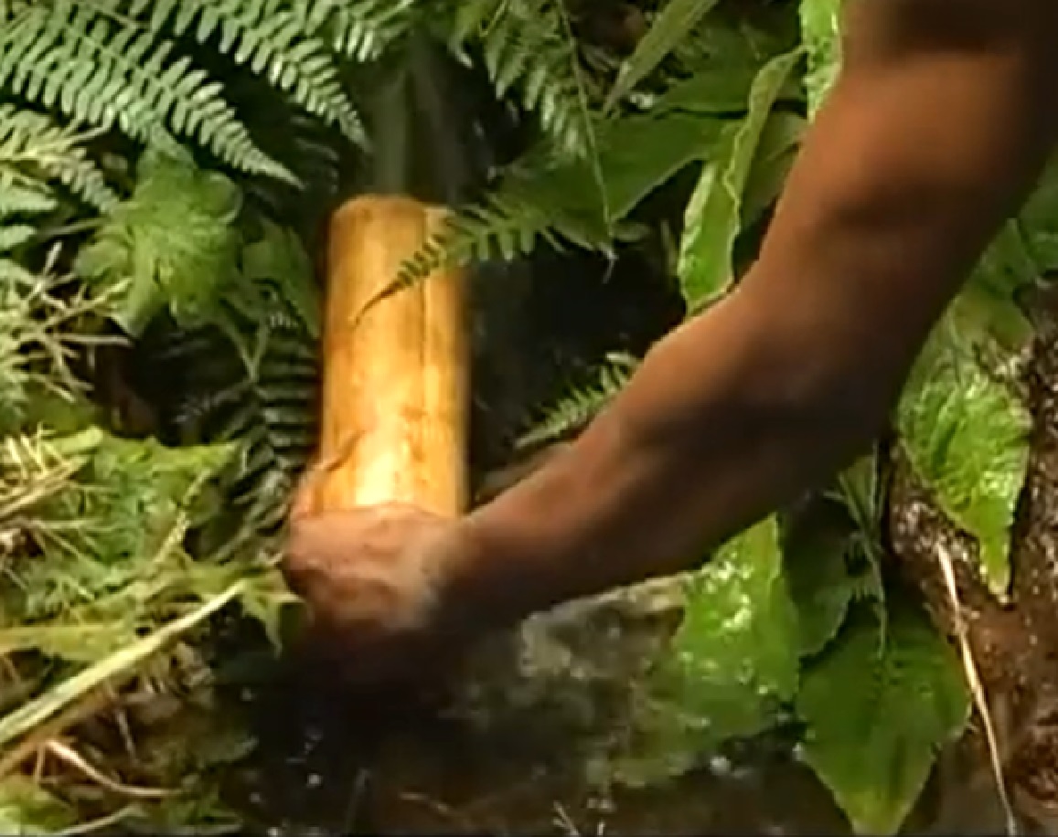 Screenshot of Batwa tribe man collecting water - from The Batwa Legacy (2011)