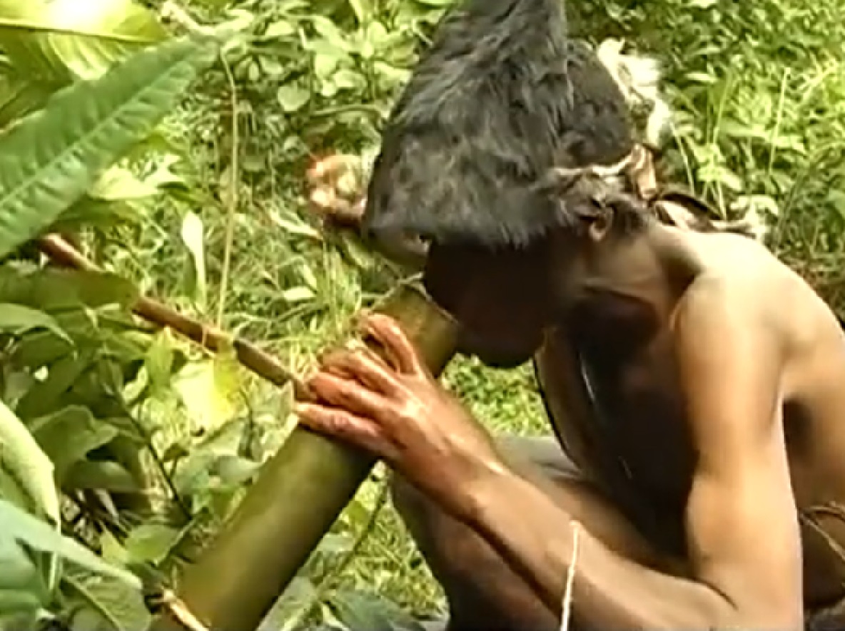 Screenshot of Batwa tribe man in the forest - from The Batwa Legacy (2011)