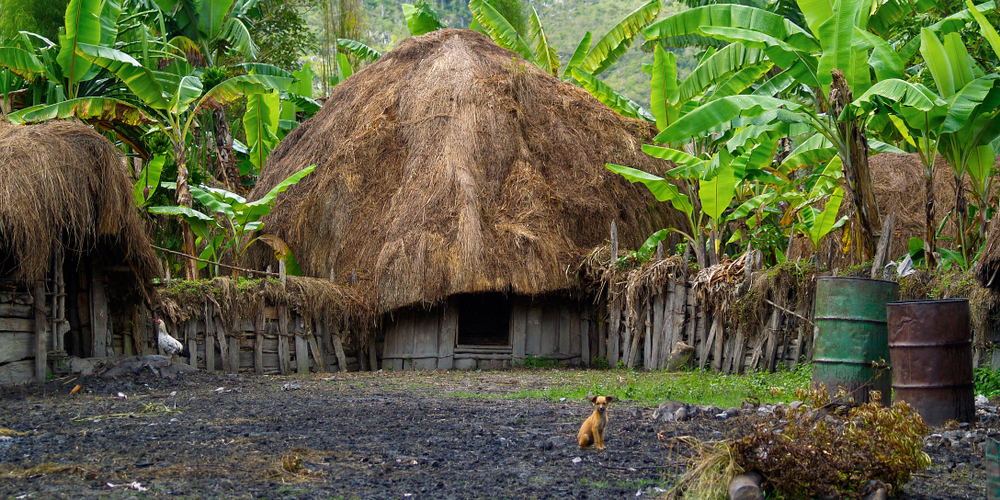 traditional hut of dani people in baliem valley