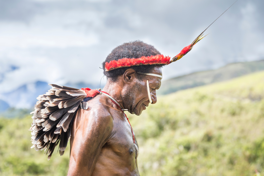 tribe man walking in a landscape of Baliem Valley