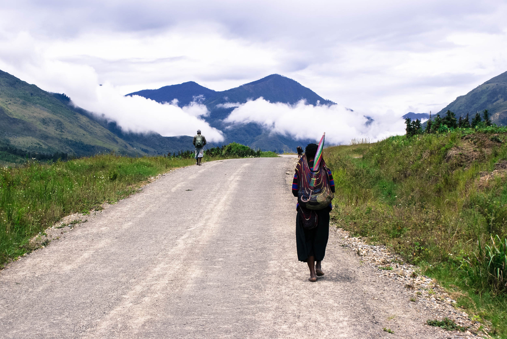 landscape of the Baliem Valley