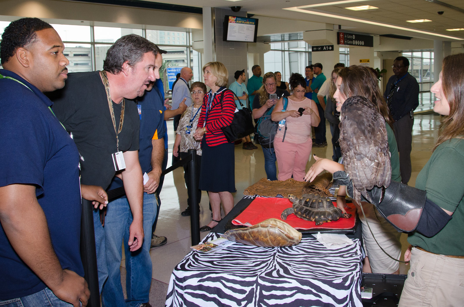 Wawa Welcome America - exhibit at Philadelphia International Airport - 2015