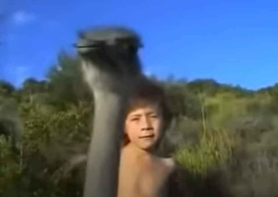 image of Tippi Degré