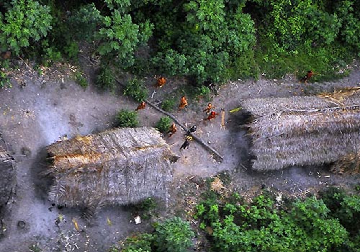Uncontacted Brazil tribe - look from top.