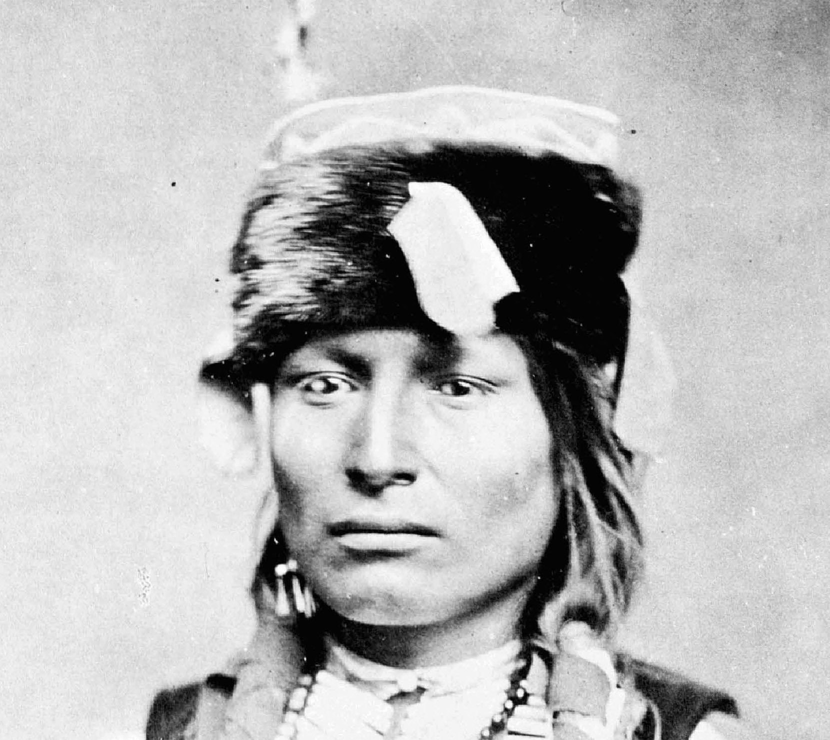 Grayscale Portrait Photo of Lone Wolf the younger, Mamamy-day-te