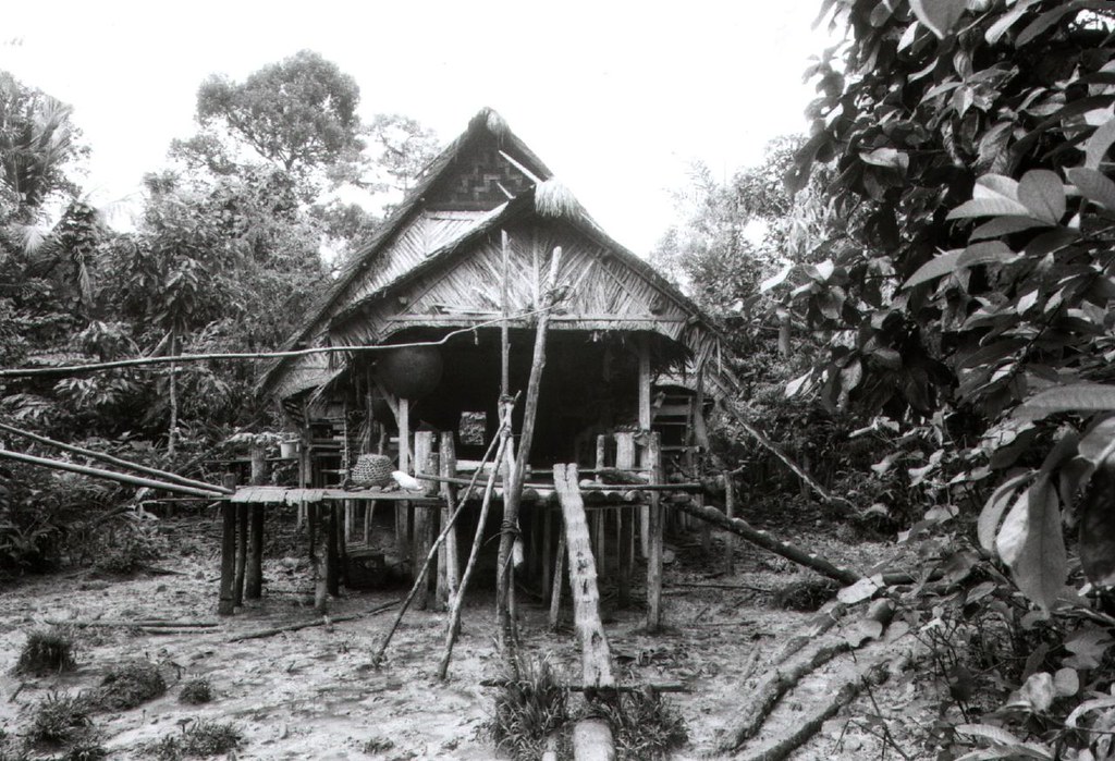 Mentawai jungle house