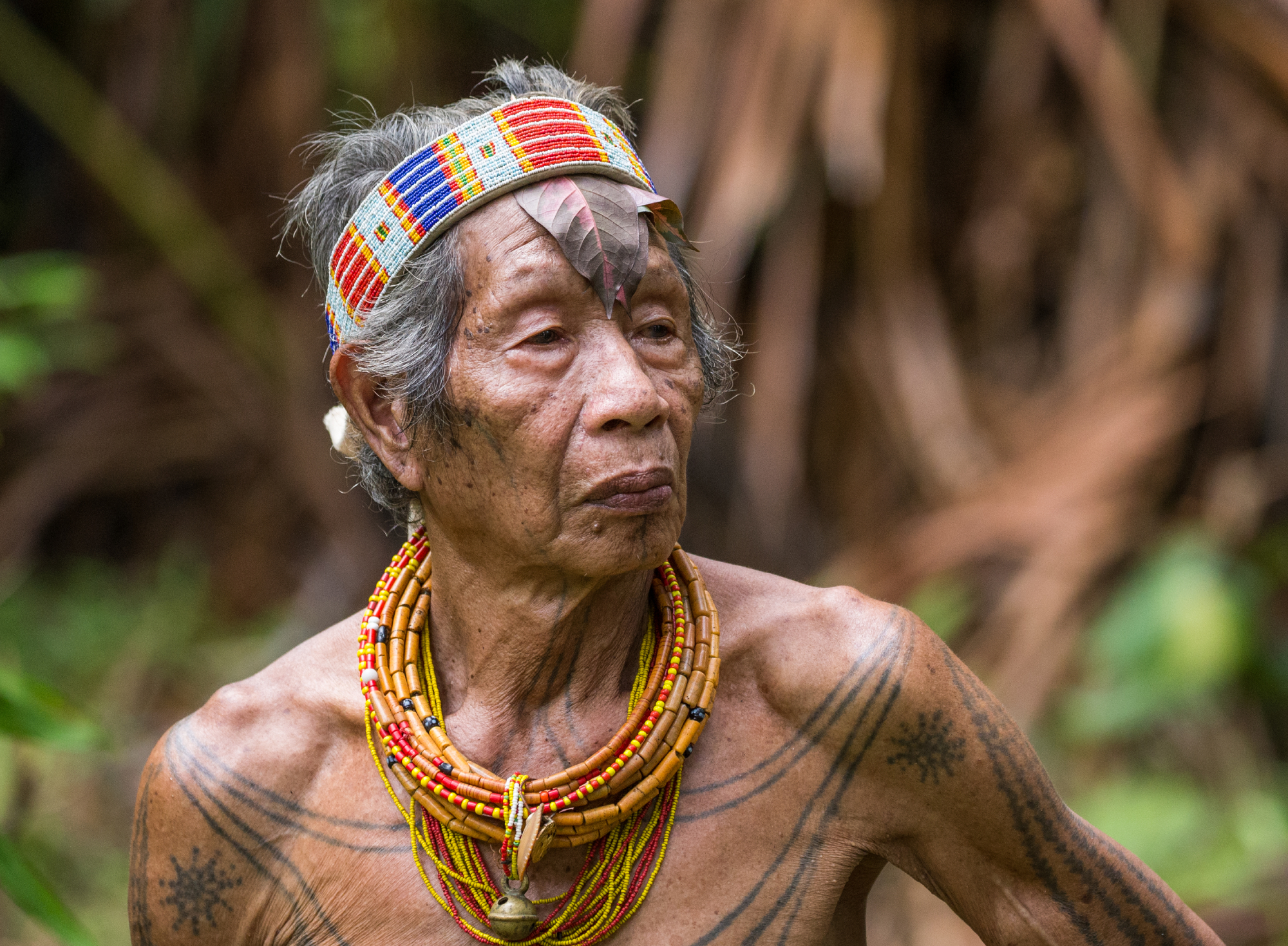 Portrait of a Mentawai tribe man