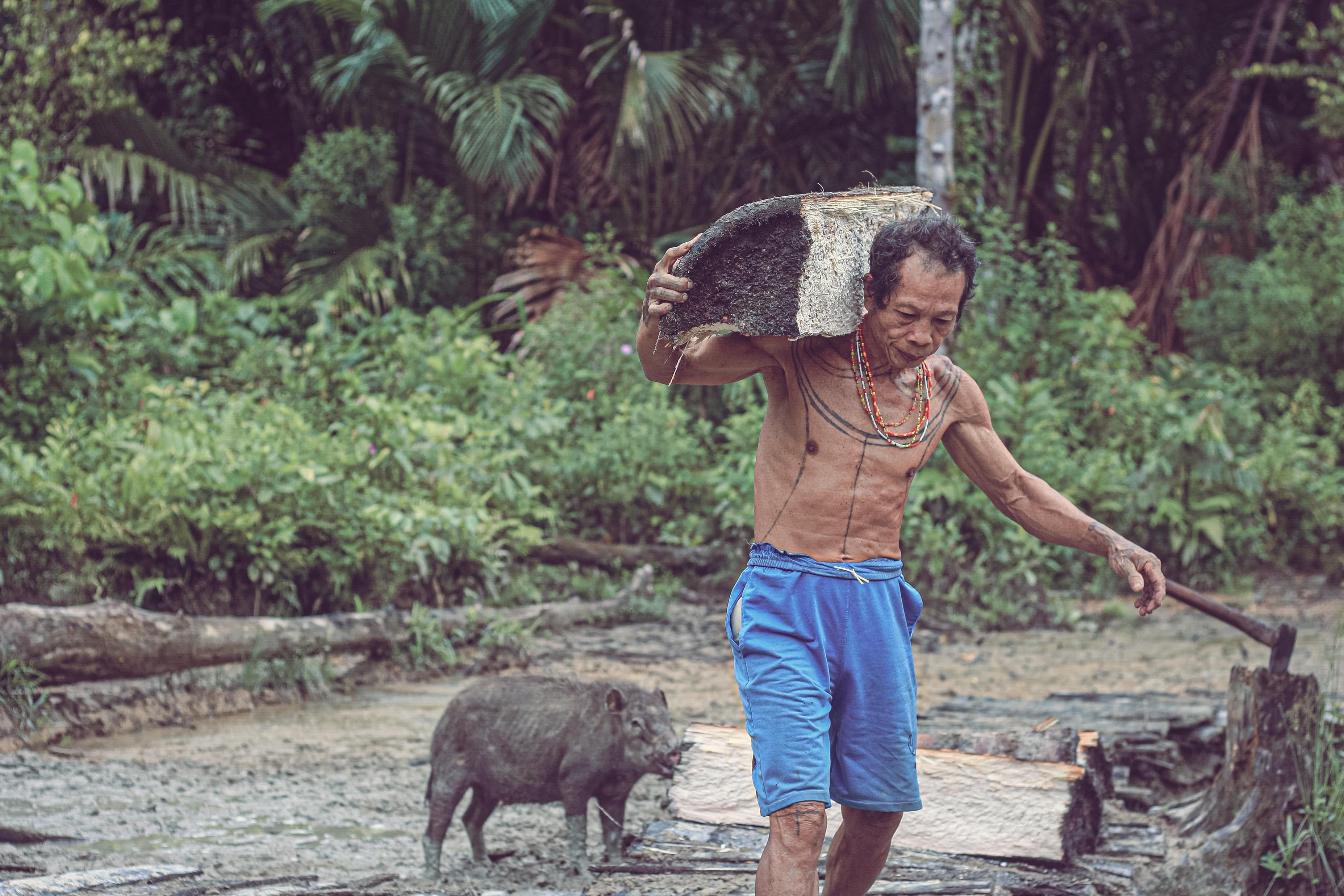 Mentawai tribe