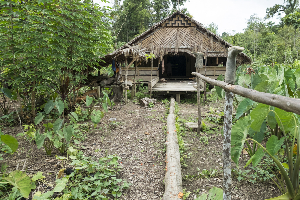 Mentawai tribe house