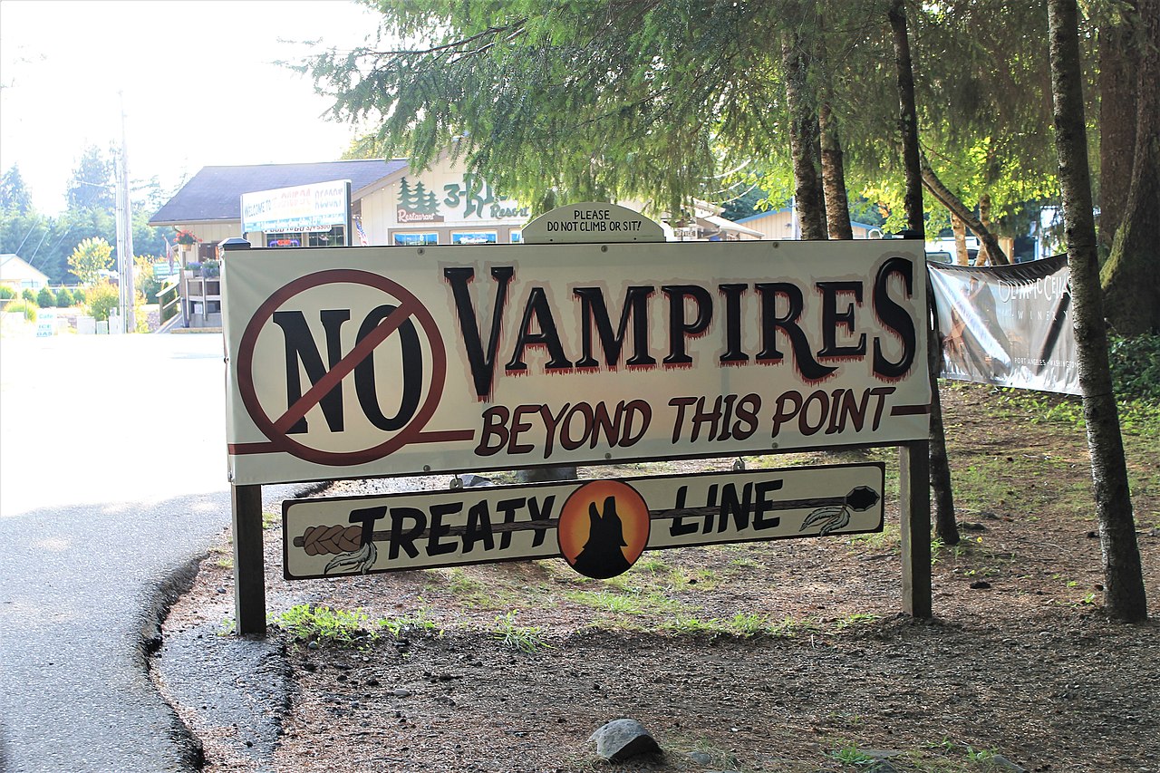 No Vampires  Sign