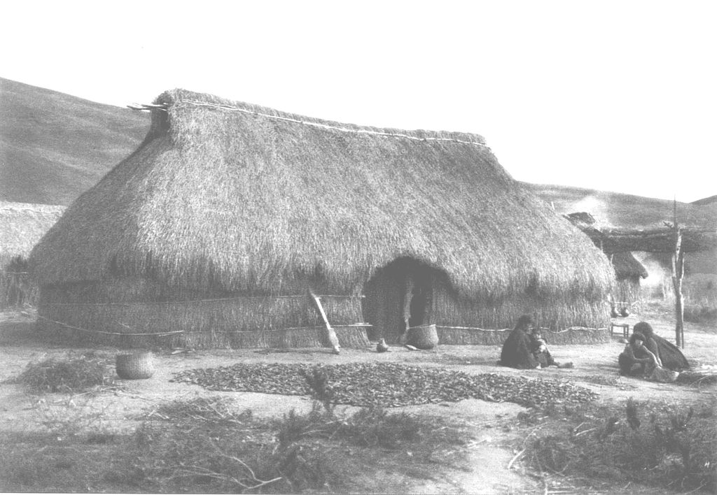 Ruca Mapuche 1930