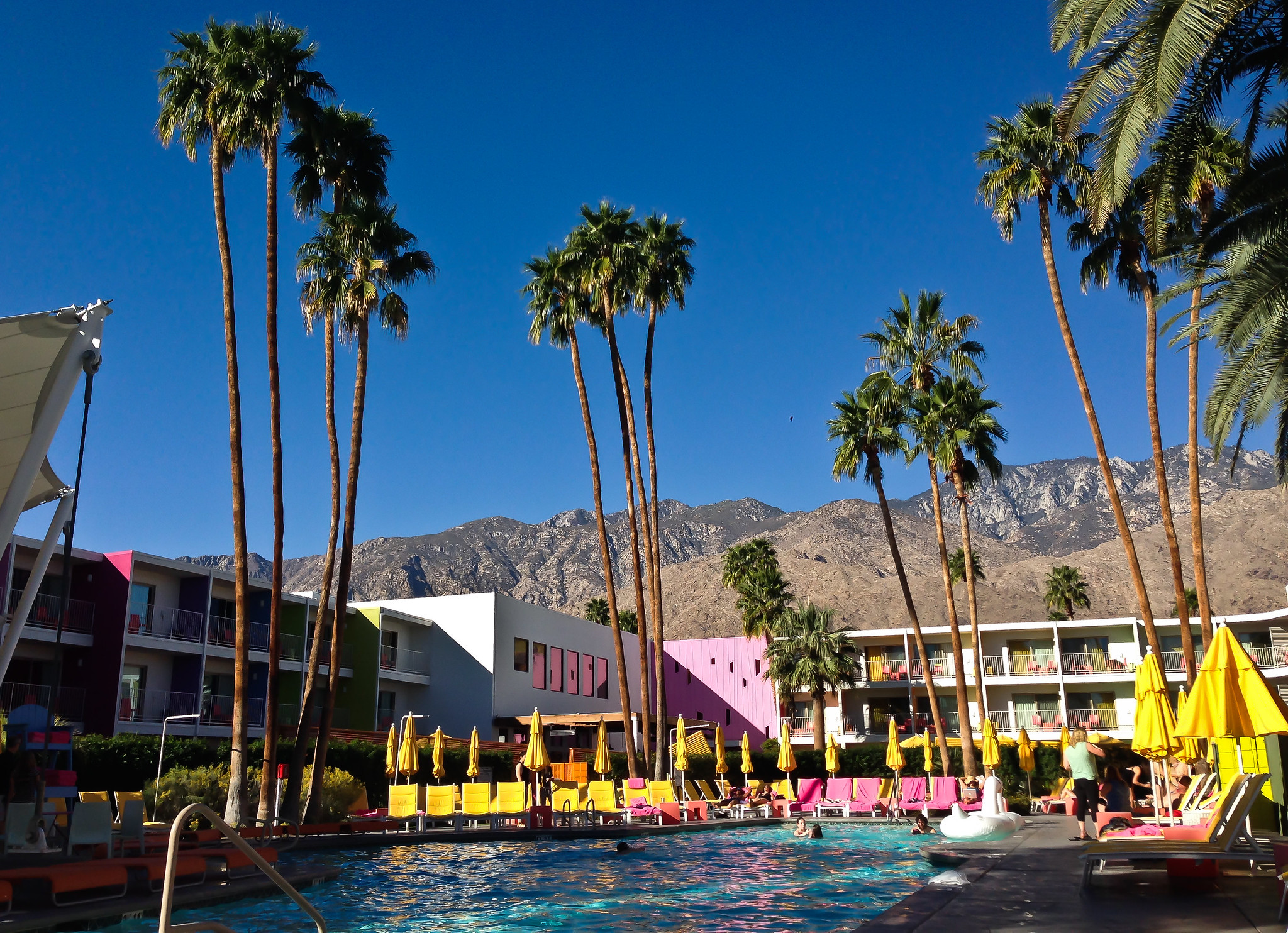 The Pool at the Saguaro Hotel - Palm Springs, California
