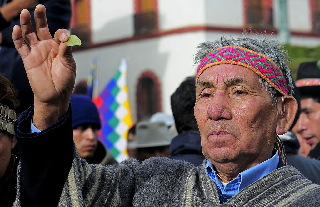 A Chilean Mapuche priest shows some coca leaves
