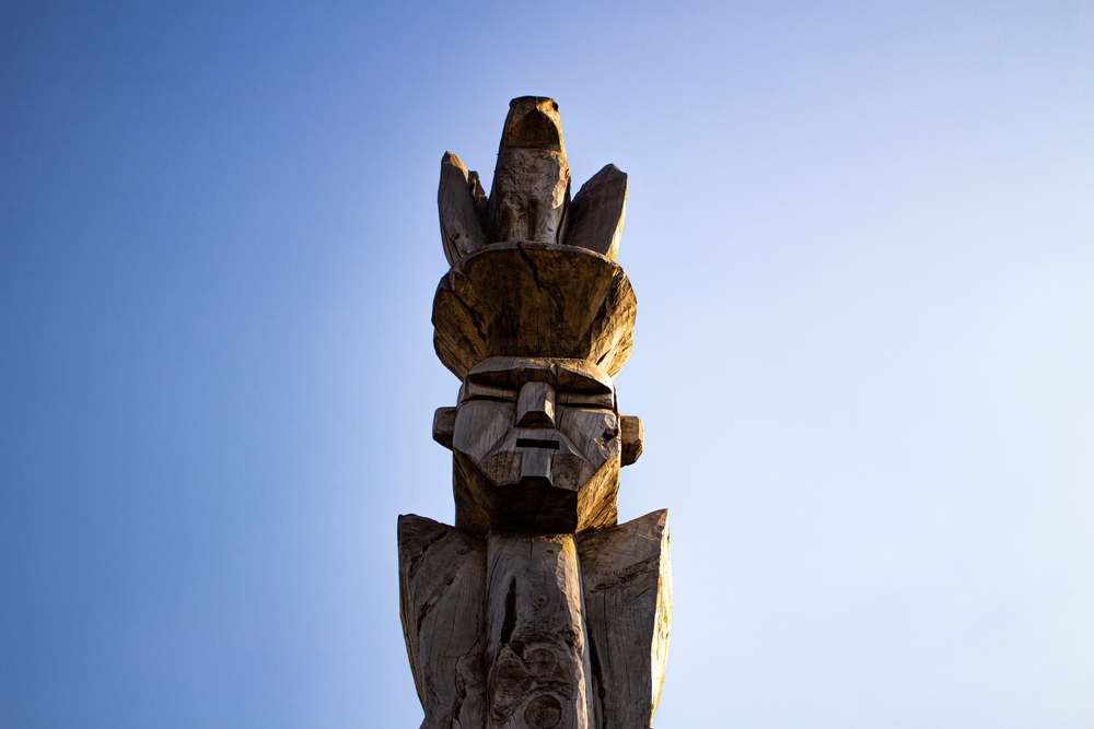 Mapuche statue at araucano park