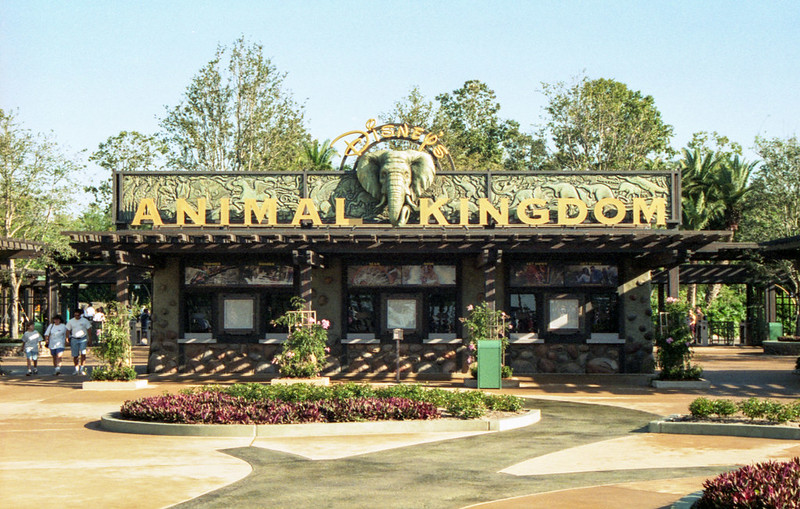 The main entrance to Disney's Animal Kingdom