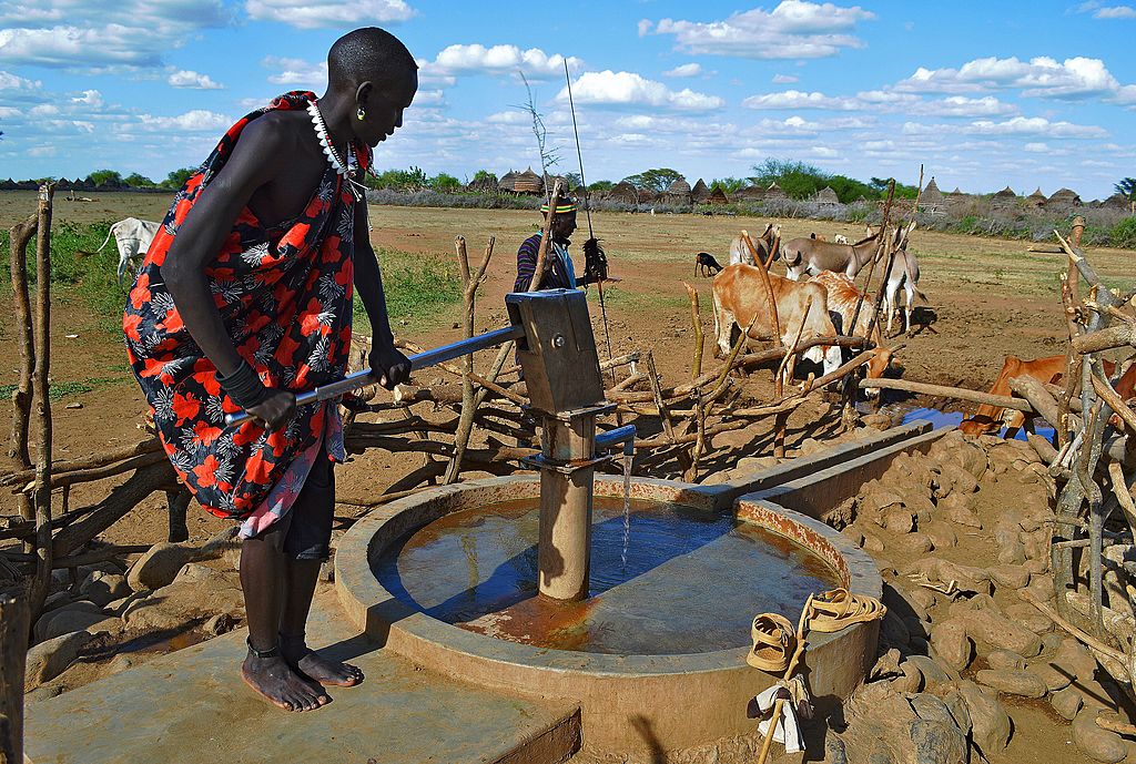A woman from the Toposa tribe and cattle