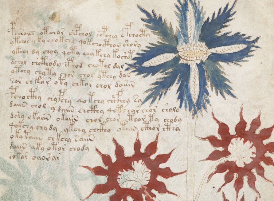 A page from the Voynich Manuscript