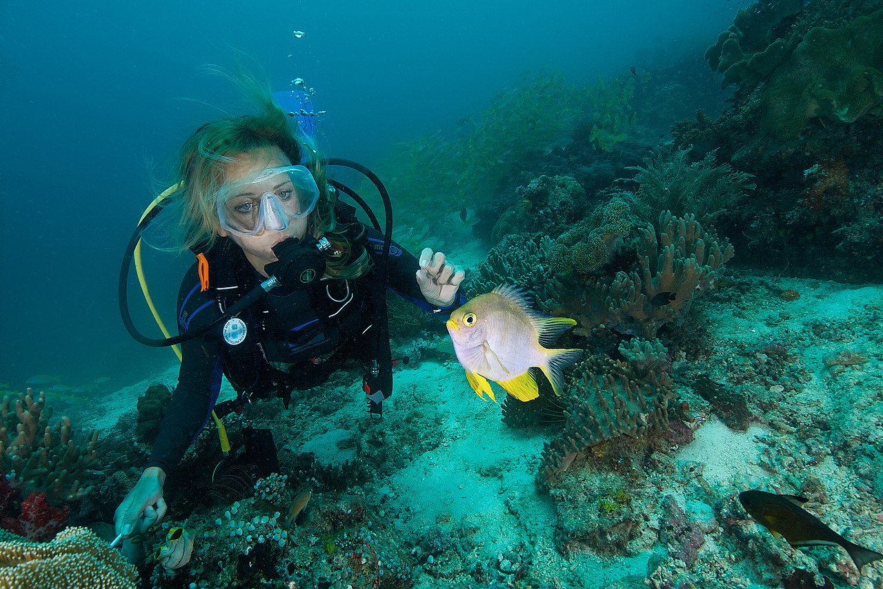 Raja Ampat, Indonesia