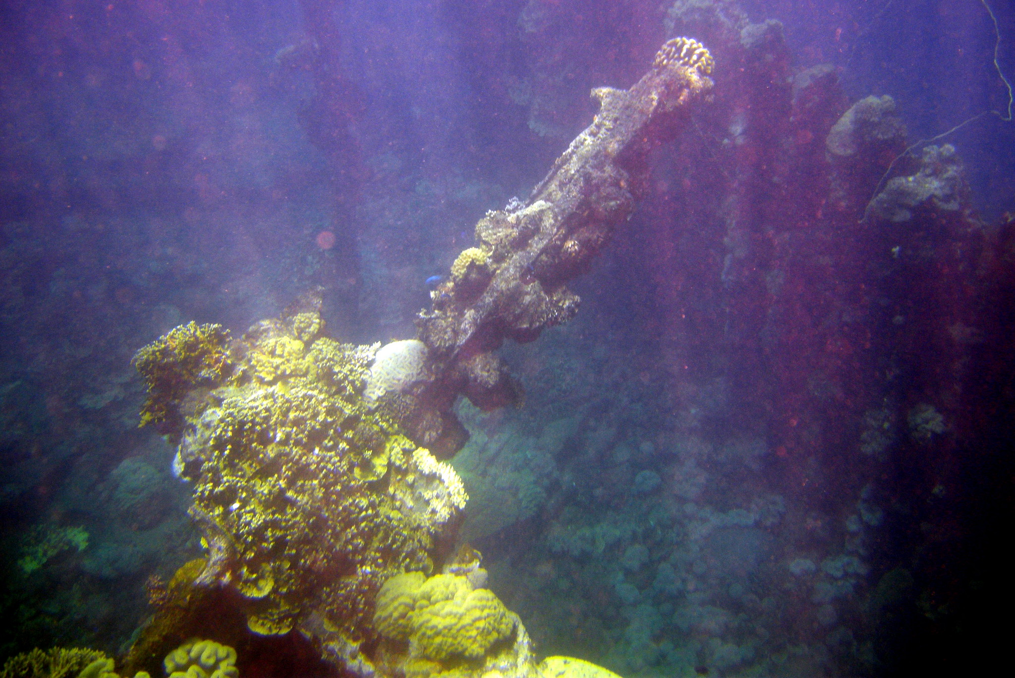 Truk Lagoon, Micronesia