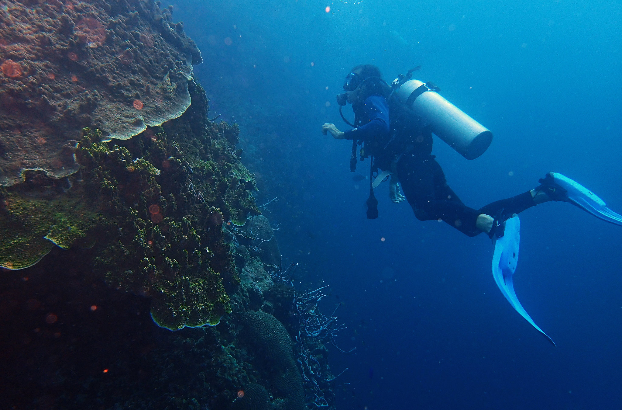 nosy komba madagascar