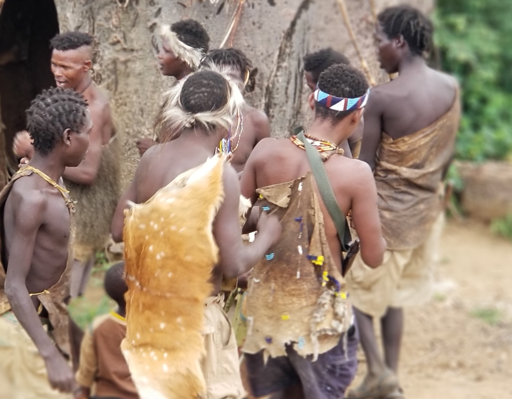 Hadzabe dancing one of the song sang during honey harvesting - 2022