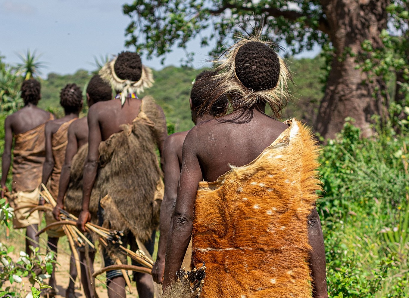 Hadzabe making their animal hunting trips for food - 2022