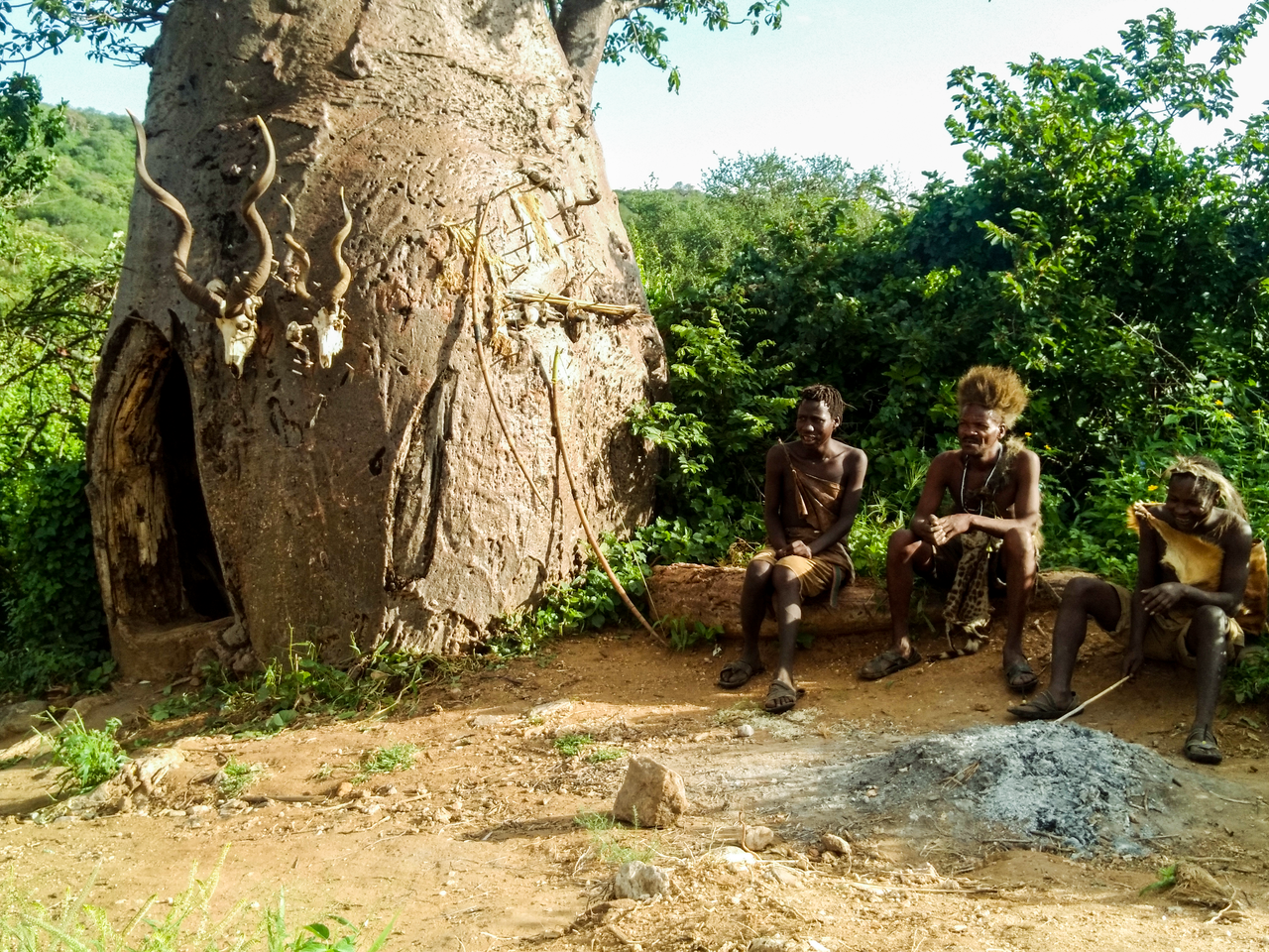 The Hadzabe men at Lake Eyasi, Karatu in Tanzania sitting beside a baobab tree which is also a shelter to them - 2022
