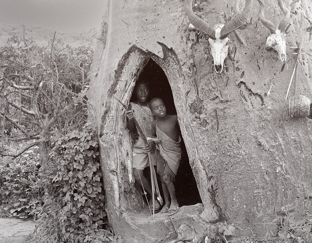 The house used by hadzabe tribe kids for resting during day.