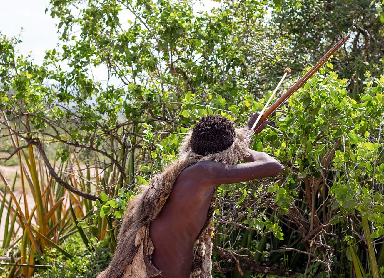 Hadzabe man is hunting - 2022