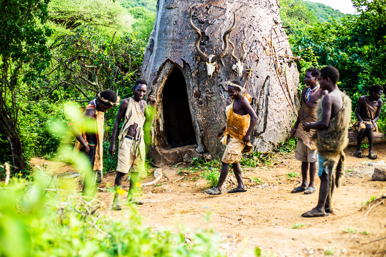 Hadzabe Tribe Men Around Home In Karatu, Tanzania