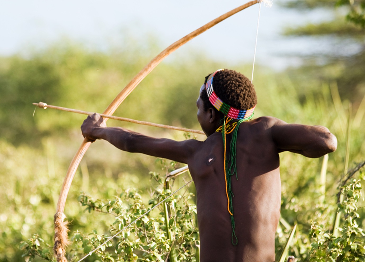 An unidentified Hadzabe bushman with bow and arrow during hunting on February 18, 2013 in Tanzania.