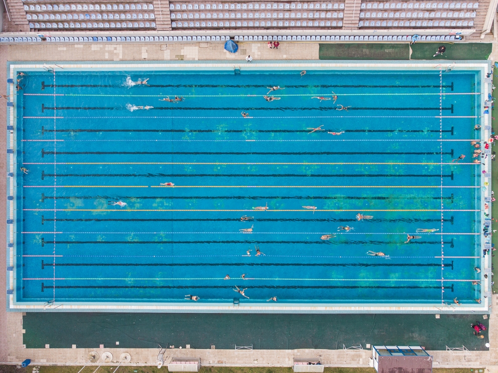 Aerial view of group of swimmers