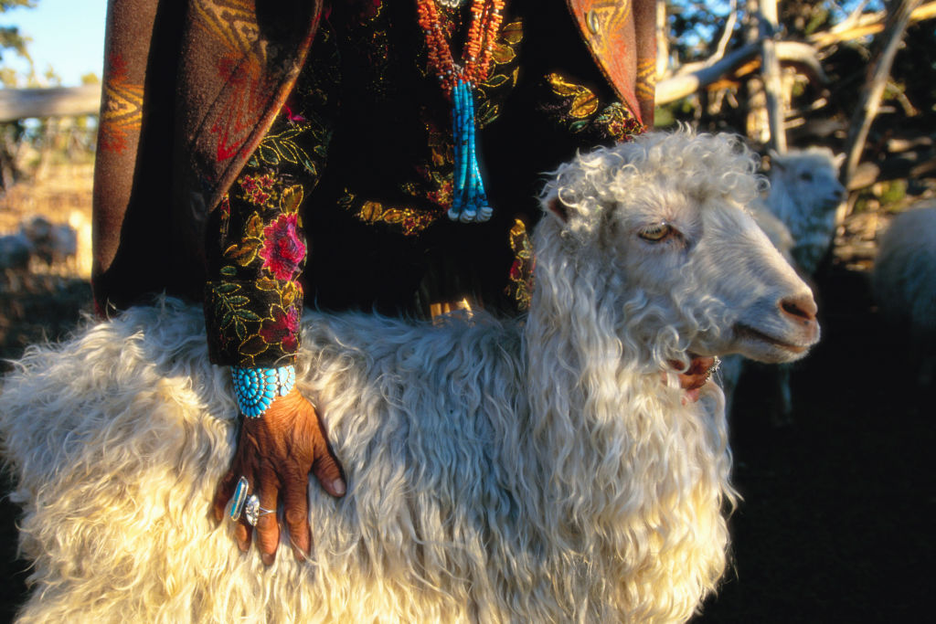 Navajo Woman Standing with Her Sheep