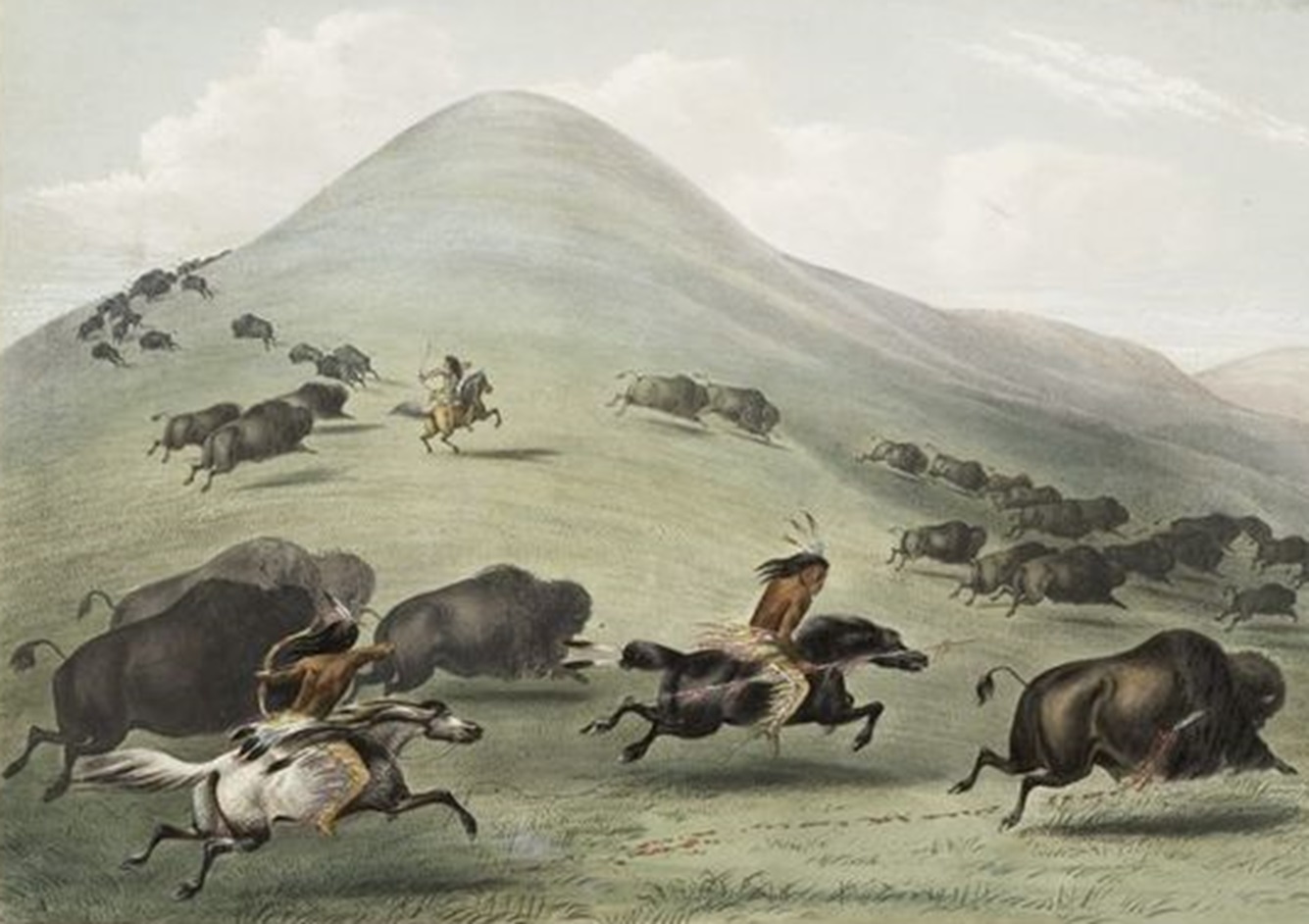 Indian Buffalo Hunt Chase