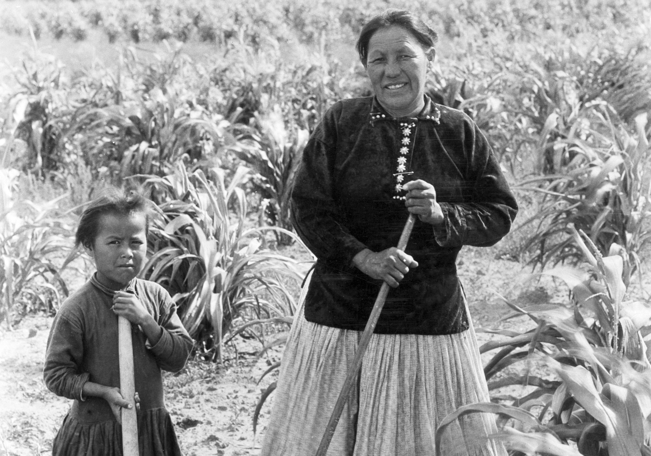 Navajo in Corn Field