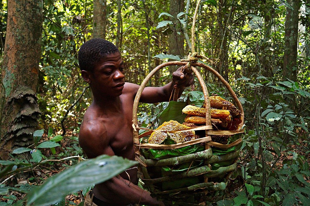 Central African Republic: the Aka pygmy people